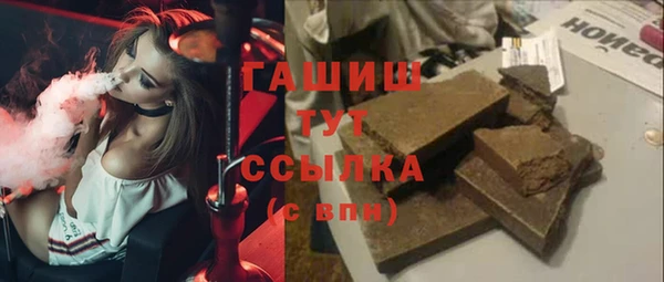 гашик Алексин