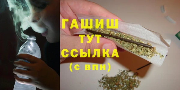 гашик Алексин