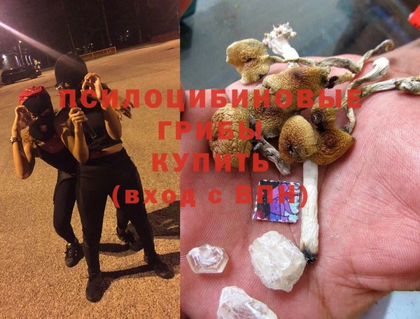 прущий лед Алексеевка