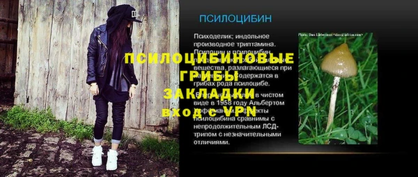 ГАЛЛЮЦИНОГЕННЫЕ ГРИБЫ Аркадак